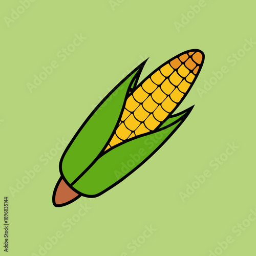 vector illustration of corn