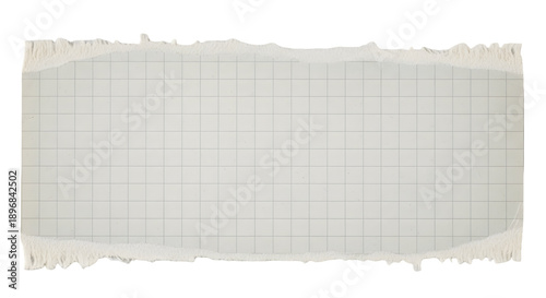 Fragment of torn graph paper strip with rough, irregular edges isolated