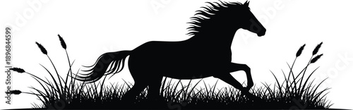 Black silhouette of a wild horse running fast through tall grass field meadow on white background vector illustration design for nature and wildlife art concepts