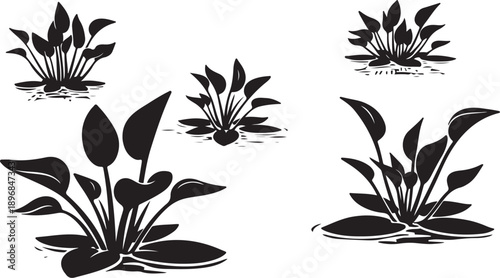Black Silhouette of Water Lilies on White Background Illustration