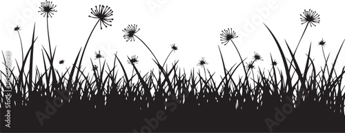 Black Silhouette of Dandelions in a Field of Grass