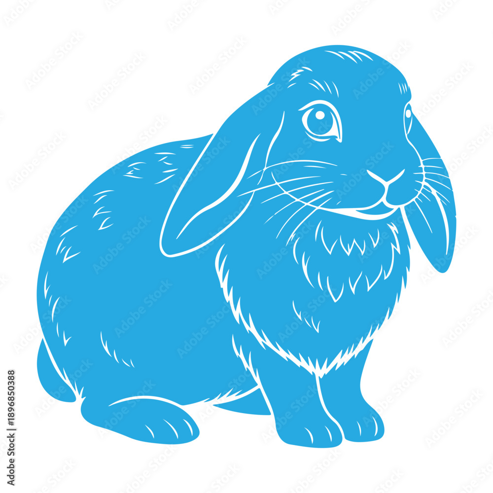 Fototapeta premium rabbit