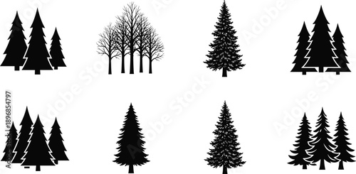 Set of Coniferous Pine and Fir Tree Silhouettes Isolated on White Background for Evergreen Forest Landscape Christmas and Winter Nature Designs