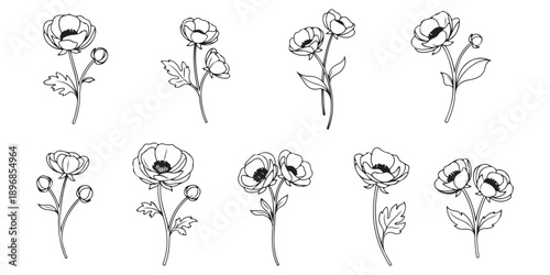 set of floral elements