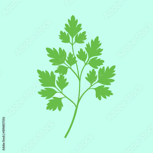 Stylized parsley sprig illustration on a light green background for design