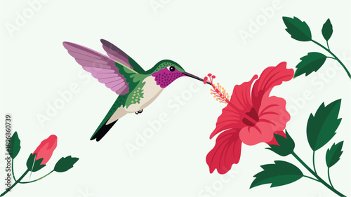 A colorful vector illustration of a hummingbird sipping nectar from a vibrant hibiscus flower
