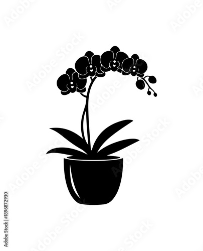 Elegant Black Orchid Silhouette in Modern Pot Vector Art