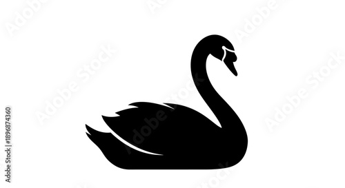 Black Swan Silhouette Isolated on White Background.