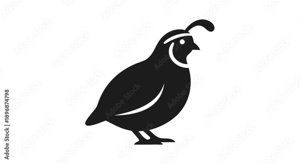 Obraz premium Black Silhouette of Quail Bird Standing.