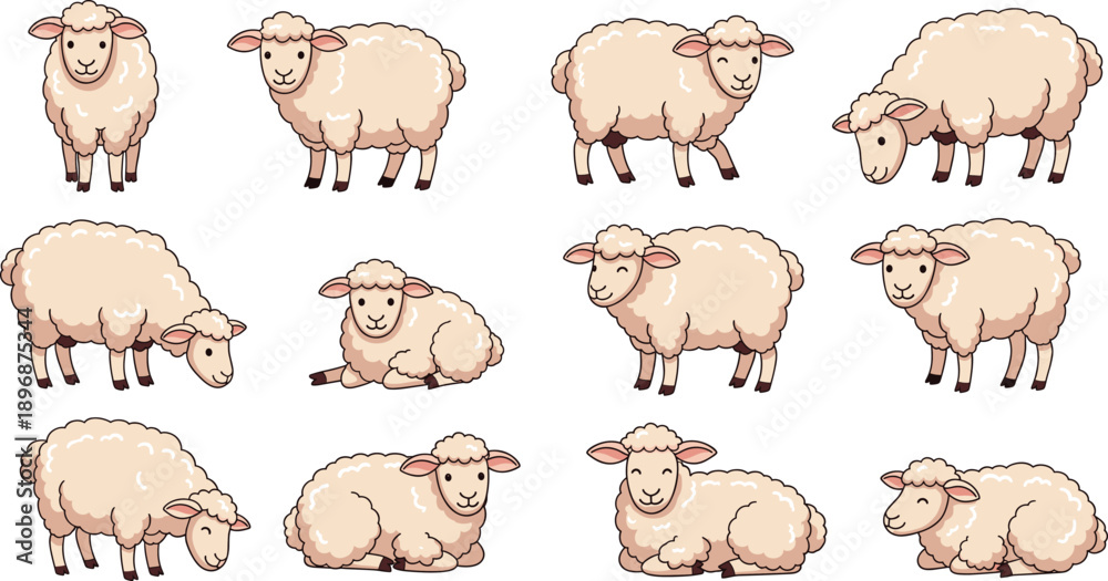 Obraz premium Cute Sheep Cartoon Character Vector Set with Standing Walking and Lying Farm Animal Poses