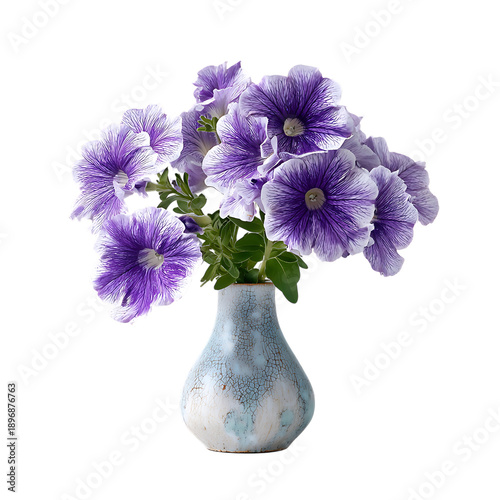 Petunia with vase png