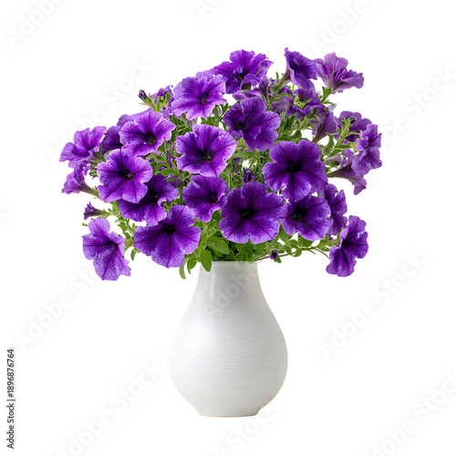 Petunia with vase png