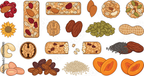 Healthy Nuts Seeds and Dried Fruits Snack Vector Set with Granola Bars and Natural Ingredients