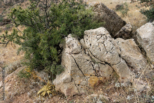 rock in the mountains