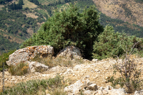 mountain landscape in the mountains