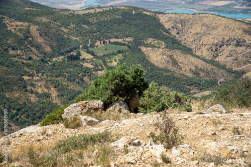 mountain landscape with blue sky and dog