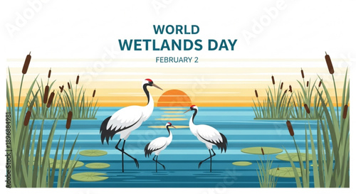 World wetlands day illustration with cranes in wetland habitat at sunset february 2nd awareness campaign