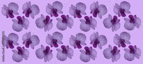 vector image of purple violet orchid flower as decoration for art application with purple gradient background