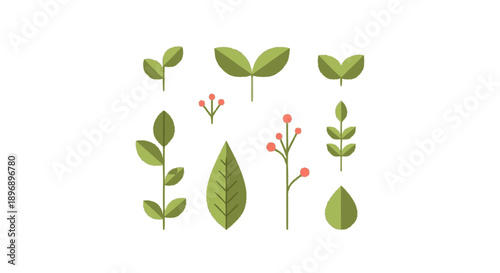 Collection of Various Green Leaves and Blooms.