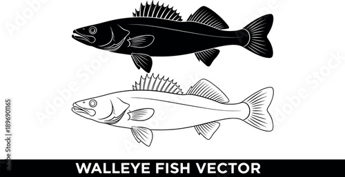 Walleye fish vector illustration set featuring detailed black silhouette and outline icons isolated on white background for fishing tournament logos and outdoor sporting gear designs