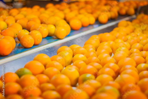 Konstfotografi Sorting orange harvest for export, fresh food, juicy fruit, mandarin, vitamin c,