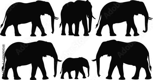 Elephant silhouette vector set showing adult and baby elephants in various walking poses representing wildlife, safari animals, nature, and conservation concepts