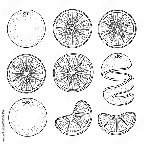 Black orange line art vector set with whole and sliced citrus illustrations