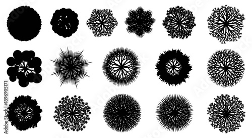 Collection of Diverse Black Tree Top Silhouettes in Overhead View for Design