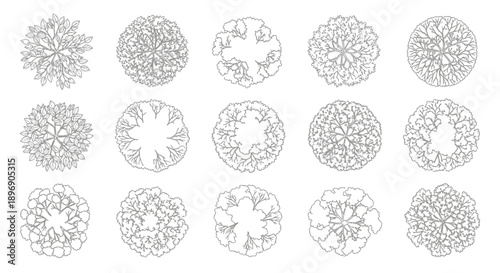 Collection of Diverse Tree Top Views in Outline Style for Architectural and Landscape Design