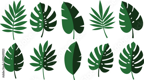 Collection of various green leaves on white background