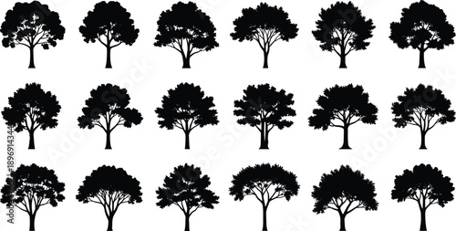 Black tree silhouettes set isolated on white background, uniform deciduous forest shapes for design, nature vector illustration stock collection