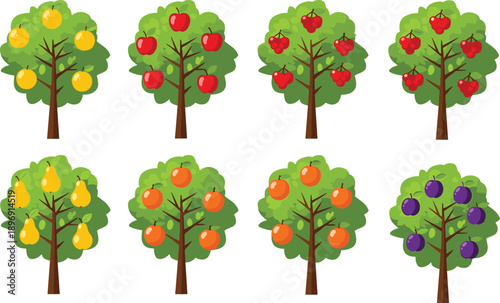 Fruit tree illustration set with apple, pear, orange, cherry and plum trees, colorful cartoon orchard icons on white background
