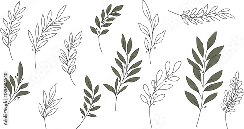 Variety of wheat and grain plants illustrated in black and white on a white background