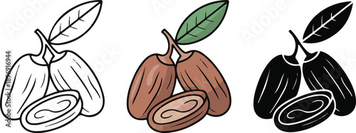 Fresh dates fruit collection with leaves and bowls in outline, colorful, and silhouette styles.