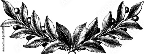 Vintage botanical decorative crest frame for design and decoration