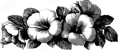 Vintage botanical decorative crest frame design for elegant projects