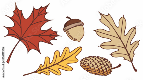 Autumn Fall Leaves Acorn Pinecone Harvest Season Graphic Elements for Holiday Web Design Seasonal Greeting Cards