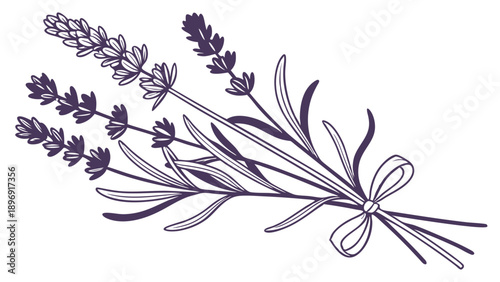 Elegant Lavender Bouquet Tied with Ribbon for Spa Aromatherapy Packaging Design Wedding Invitations Herbal Tea Branding