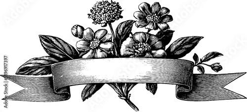 Vintage botanical decorative frame with ribbon elements for design