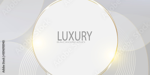 Abstract gold lines on white circle background and gray wallpaper feeling of smooth and luxury of silver with golden border