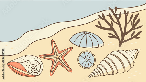 Seashells Starfish Seaweed on Sandy Beach Background for Summer Vacation Travel Web Design Projects