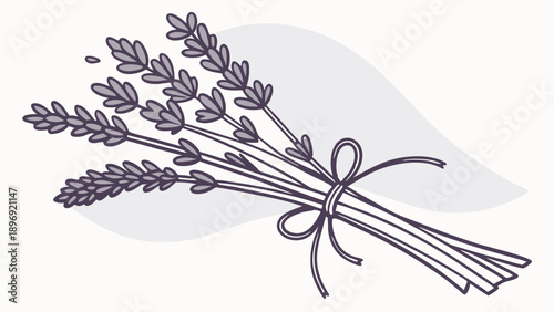 Lavender Bouquet Tied with Ribbon for Spa Aromatherapy Packaging Beauty Product Design Rustic Summer Decor