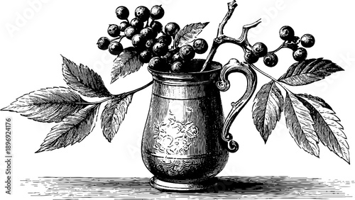 Vintage botanical engraving of a decorative jug with classical design
