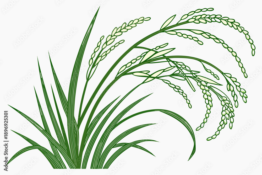 Naklejka premium green grass isolated