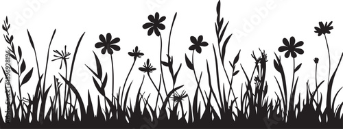A vector silhouette of grass and spring flowers in a meadow landscape featuring daisies, butterflies, and floral garden growth for a summer nature design illustration isolated on white