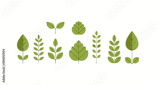 Collection of Various Green Leaves.