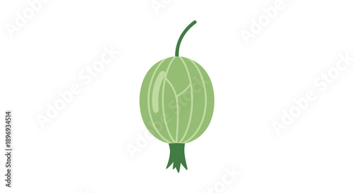 A single ripe green gooseberry with a stem and calyx.