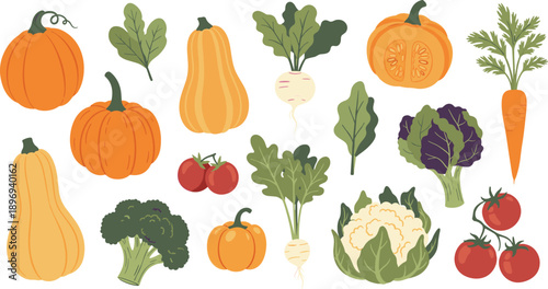 Large collection of hand drawn organic vegetable elements with pumpkins squash carrots tomatoes broccoli and cauliflower isolated