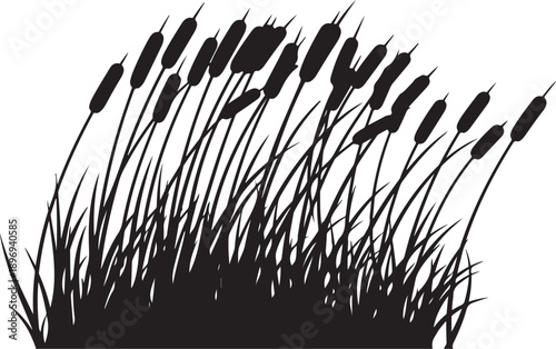 Black Silhouette of Cattails and Grasses on White Background