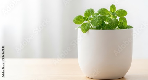 A potted mint plant on a wooden surface with a blurred background, suggesting a calm and serene indoor setting.